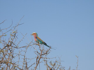 Kruger national park visit 