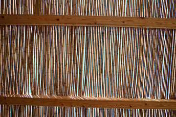 bamboo texture