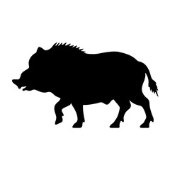 Obraz na płótnie Canvas boar