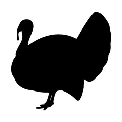Turkey Icon Silhouette