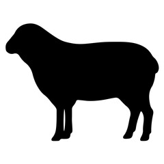 silhouette of sheep