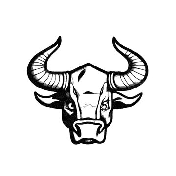 Bull head. Doodle sketch. Vector illustration. Isolated on white background.