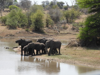 Kruger national park visit 