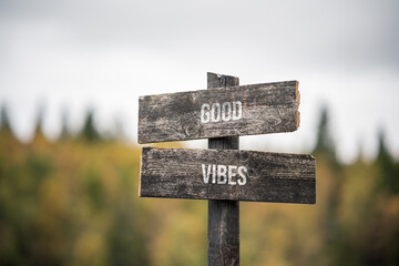 vintage and rustic wooden signpost with the weathered text quote good vibes, outdoors in nature. blurred out forest fall colors in the background.