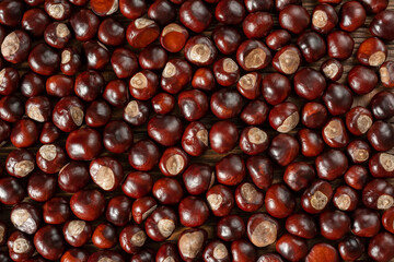 Nautral autumn background from chestnuts.  Autumn mood background . top view
