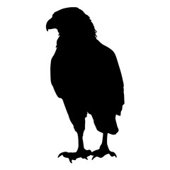 falcon silhouette