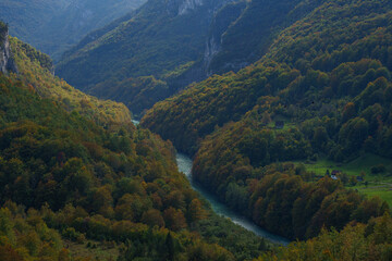 mountain river in autumn