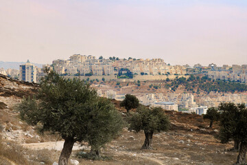 View of new buildings in the south of Jerusalem, Israel