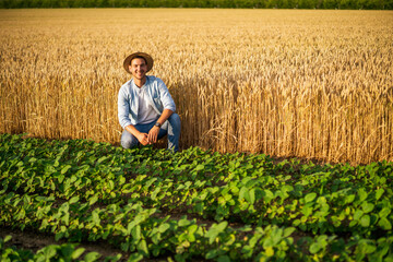 Naklejka na ściany i meble Happy farmer enjoys in his growing wheat and soybean field. 