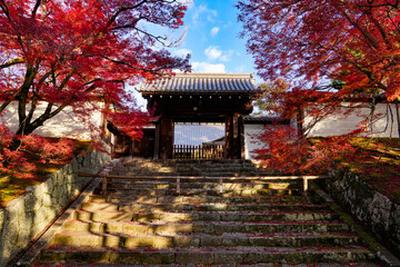 曼殊院 紅葉に包まれた勅使門  京都市