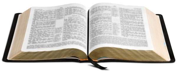 Obraz premium Opened big book isolated on white