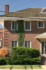 old house in the park