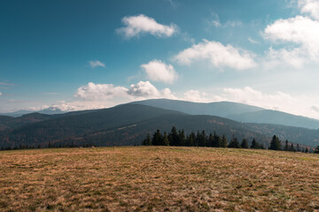 A view of the peaks of the Beskid Żywiecki mountain range. A meadow in the foreground. Rysianka, Poland