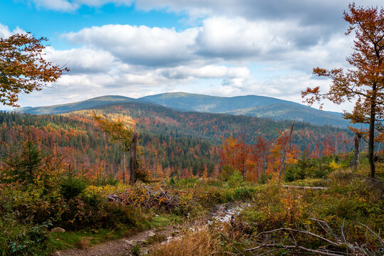 Beautiful autumn mountain landscape. View of the mountain massif. The mountain peak "PIilsko", "Mechy", "Trzy Kopce". Zlatna, Poland