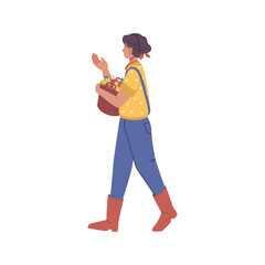 Harvesting farmer woman with basket of ripe fresh apples. Isolated female character picking fruits in garden, agricultural business. Vector in flat cartoon style