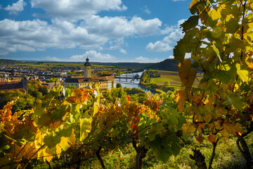 Fototapeta premium Wine experience in the lower Neckar valley