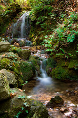 Ruscello torrente con cascata nascosto nel bosco 