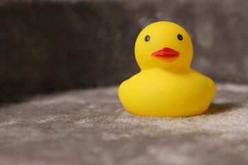 アヒルおもちゃ