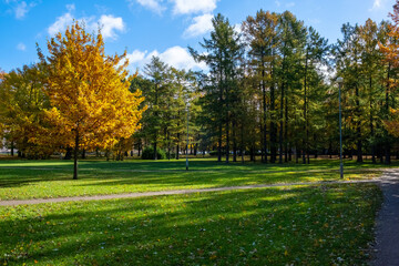 Obraz premium Empty autumn city park