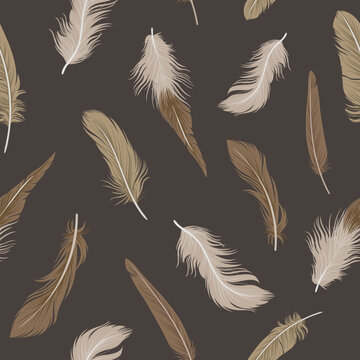 Fototapeta Seamless pattern with delicate feathers