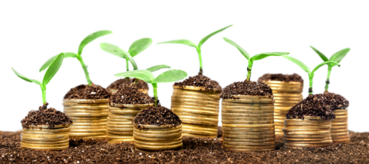 Coins in soil with young plants on background