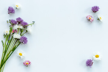 Naklejka na ściany i meble Wild meadow flowers chamomile cornflower and ranunculus. Summer floral pattern