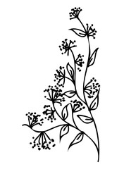 Line art Plant illustration. Outline floral design. PNG with transparent background. 