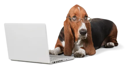 Tuinposter Basset Hound Using a Laptop Computer and Wearing Glasses © BillionPhotos.com