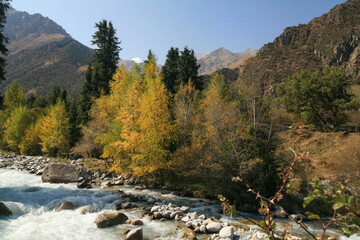 Autumn colors in the valley of the mountain river, Kyrgyzstan.
