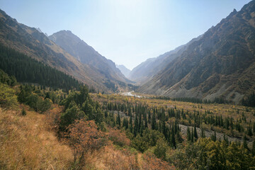 Fototapeta premium Autumn colors in the valley of the mountain river, Kyrgyzstan.