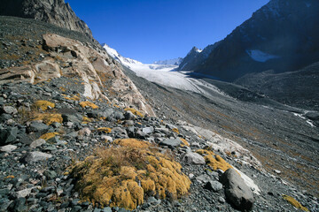 View of the glaciers of Kyrgyzstan.
