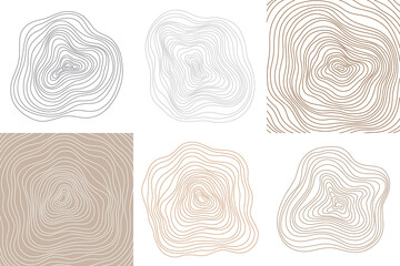 Abstract tree rings. Png topographic map concept background. Thin black lines on white 