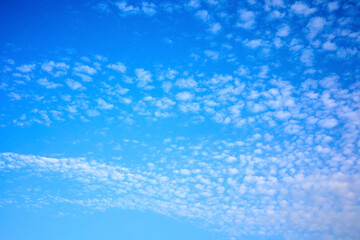 Fototapeta na wymiar Sunset blue sky with white clouds