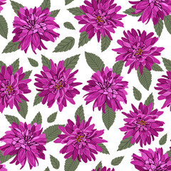 Fototapeta na wymiar Seamless floral pattern of dahlia flowers on a white background. Vector hand drawn illustration. For fabrics, wallpaper, wrapping paper, bed linen.