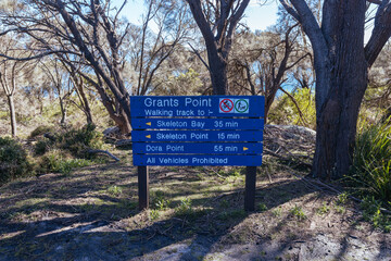 Skeleton Bay Walk in Tasmania Australia