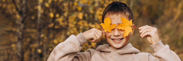 Teenager boy hiding his eyes behind maple leaves. Child holding yellow autumn leaves in his hands....