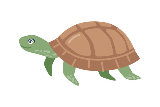 Tortoise animal, isolated slow moving reptile with leathery domed shell. Marine fauna and creature, nature and environment. Vector in flat cartoon style
