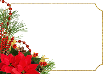 Christmas corner arrangement with pine twigs, red berries and poinsettia flowers with golden glitter frame isolated