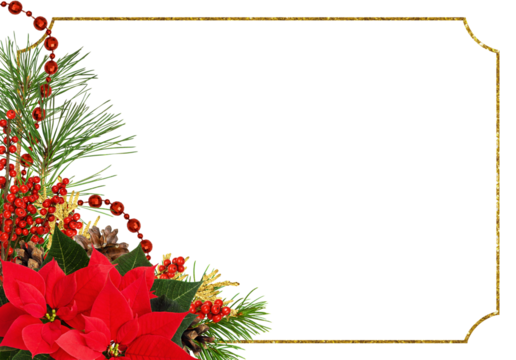 Christmas corner arrangement with pine twigs, red berries and poinsettia flowers with golden glitter frame isolated