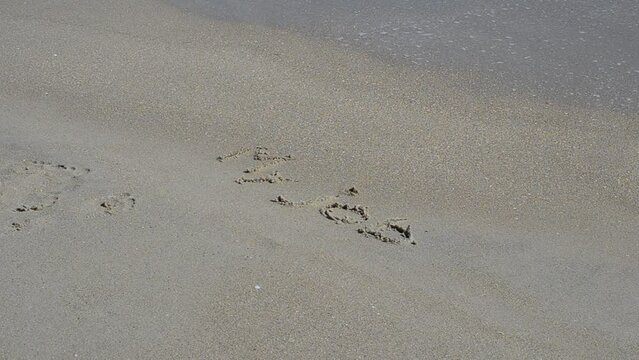 My job. My work, inscription on sand