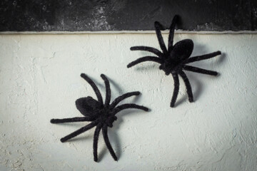 Black and white Halloween background with realistic spiders