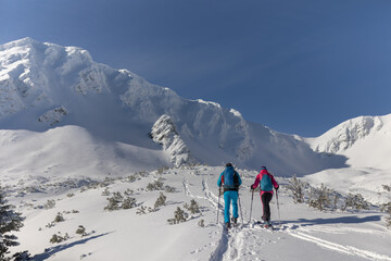 Fototapeta na wymiar Ski touring couple hiking up a mountain in the Low Tatras in Slovakia. Rear view.