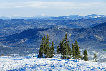 Green fir trees on top of mount Zelenaya against background of mountain peaks, nature view with blue sky, snow, wood. Winter scene in Sheregesh ski resort Russia. Hills with conifer forest.