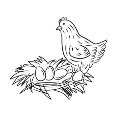Hen on nest with chicken eggs vector illustration