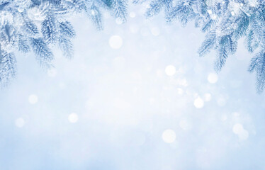 Fototapeta na wymiar Beautiful abstract frosty winter background and snowy fir tree branches