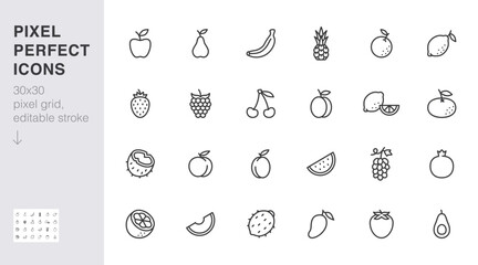 Fruits line icon set. Coconut, peach, apple, strawberry, pineapple, melon, pomegranate, mango minimal vector illustration. Simple outline sign for healthy food. 30x30 Pixel Perfect, Editable Stroke