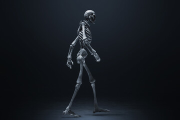 Obraz na płótnie Canvas Human skeleton on dark background