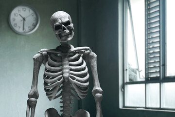 Human skeleton death waiting time
