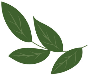 Vector of the Autumn Leaves