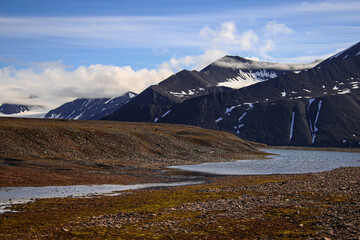 Spitzbergen summer